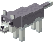 2 Wolf.png (54 KB) Light Gray Wolf (no collar)