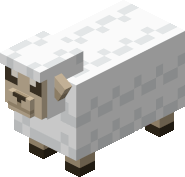 GIF of all colours of the sheep