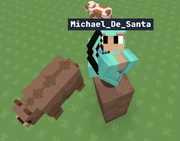 The setup to defeat a bear 