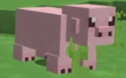 A pig in-game.