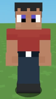 The third and most recent skins for a player.