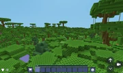 An example of jungles