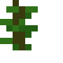 Jungle Sapling