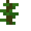 Jungle Sapling