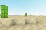 A Desert Biome