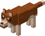 3 Wolf.png (53 KB) Brown Wolf (no collar)