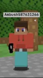 The second skin for players 