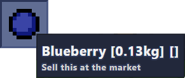 A blueberry that is 0.13kg