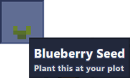 A Blueberry Seed
