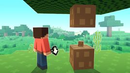 SurvivalThumbnailNew