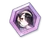 Hinata Fragment