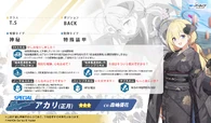 Akari New Year Stats