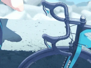 Shiroko Riding Live2D