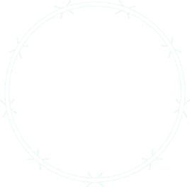 Halo