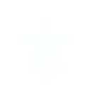 Nagusa