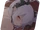 Iori Swimsuit Icon 2.png