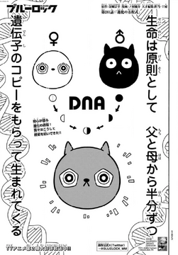 ブルーロック　漫画 ブルーロック（31）』（金城 宗幸,ノ村 優介）｜講談社