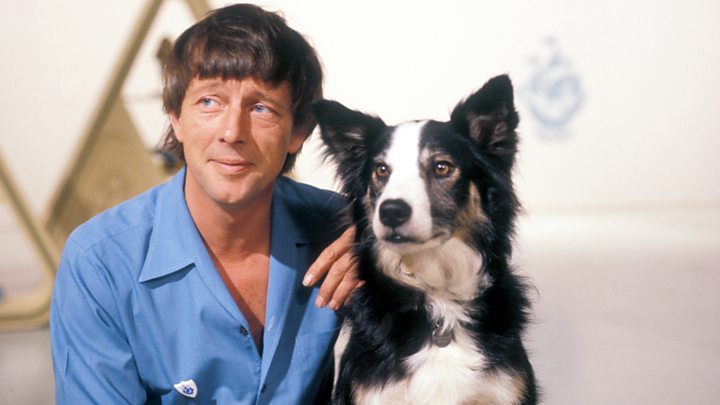 Blue peter sale dog
