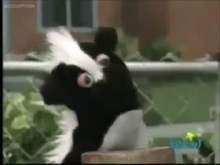 Skunk Puppe