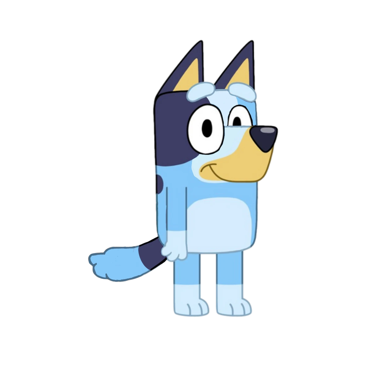 Nova Heeler Bluey Fanon Wiki Fandom