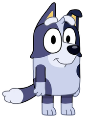Bluebelle Heeler 2