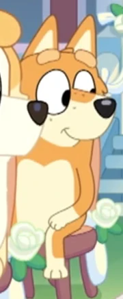 DingoWeddingAttendee