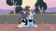 Johnny et Bluey capturant Bandit.