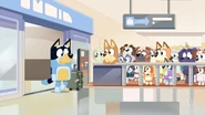 Curry Quest/Gallery | Bluey Wiki | Fandom