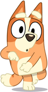 BingoArtwork02