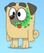 Buddy with his gecko face paint