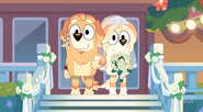 Frisky's dad walking her down the aisle
