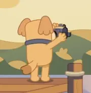 Camera dog
