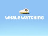 L'observation de baleines