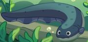 Octopus-Electric Eel