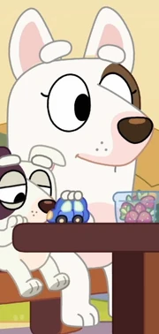 Piggyback-Bull Terrier Mum