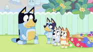 Bluey has a proposal - she will give up the stump, if Bandit, Stripe, and Pat get makeovers first.