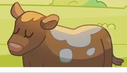 Road Trip-Cow