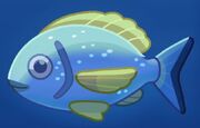 Stickbird-Unknown Fish