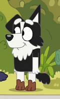 S1E29MackenzieLegError