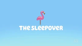 The Sleepover