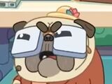 Old Pug