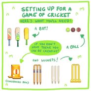 The rules on how to play Cricket, from The Bluey.TV website