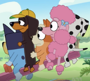 Coco in Seesaw, along with (from left to right), Bluey, Snickers, Bingo and Chloe.