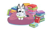 Muffin reading some books