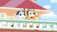 Chilli and Trixie cheer.