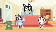 Chloe avec Bluey et Bandit dans "La pieuvre"