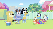 Bluey, Bingo, and Muffin don't want to go.