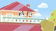 Chilli and Trixie watch from the balcony, sipping on lemonade.
