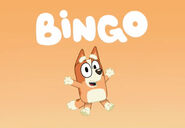 Bingo’s special intro.