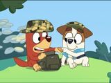 L'armée